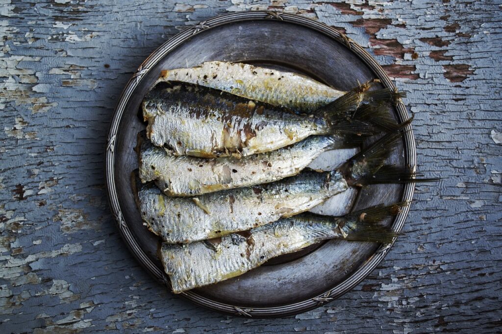 sardines, fish, plated food-1489630.jpg